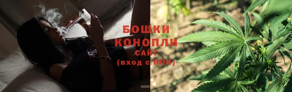 сатива Горняк