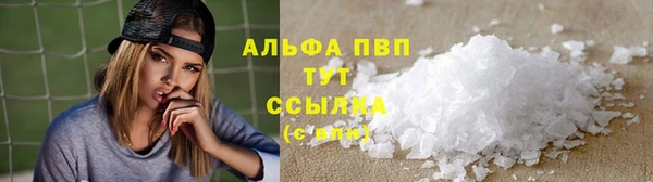 сатива Горняк