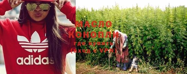 сатива Горняк