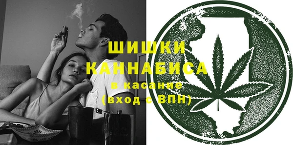 сатива Горняк