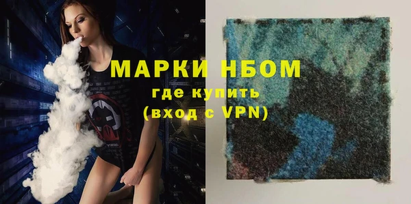 сатива Горняк