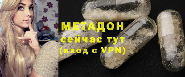 сатива Горняк