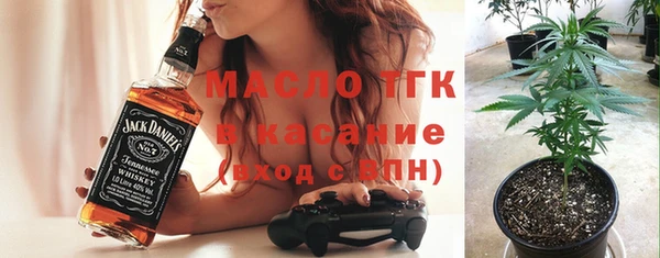сатива Горняк
