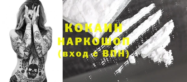 сатива Горняк