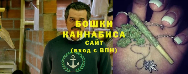 сатива Горняк