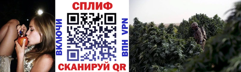 Купить где  Полевской  Конопля ГИДРОПОН 